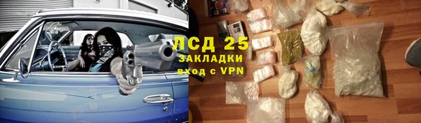 шишки Балабаново