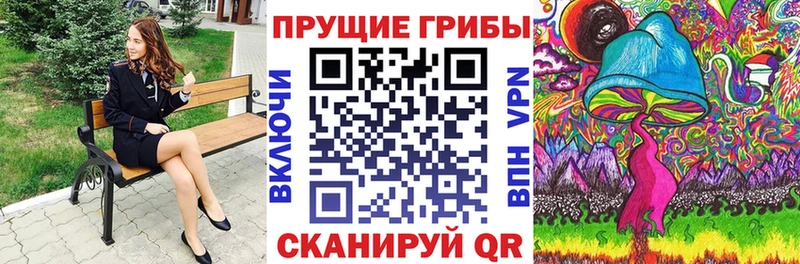 Галлюциногенные грибы Psilocybe  где найти   Красновишерск 